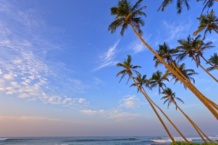 Tropical Landscapeの写真素材