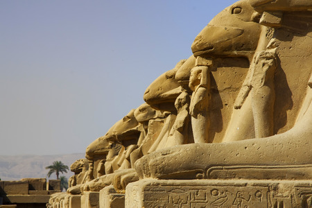 Sphinxes in Karnak Temple, Luxor, Egypt