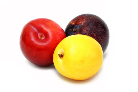Ripe juicy yellow, red and purple plums isolated on white backgroundの写真素材
