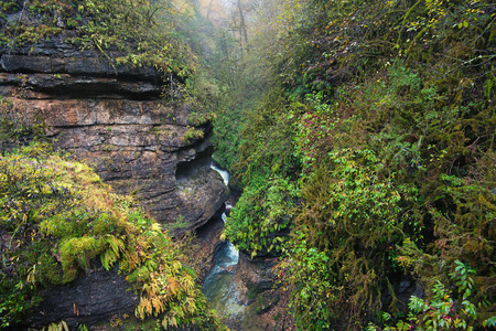 Beautiful exotic forest with rocks and riverの写真素材