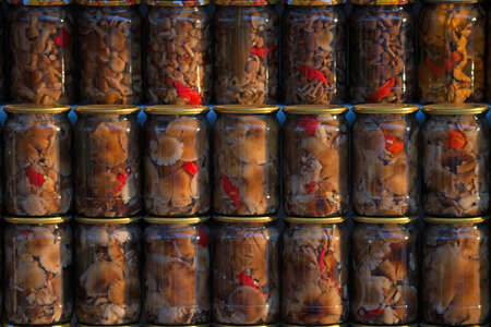 Various pickled mushrooms are a part of Russian traditional cuisineの写真素材
