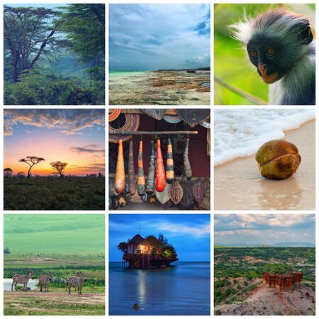 Collage about landmarks and nature of Tanzaniaの写真素材