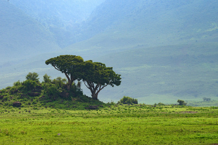 Scenic view of panorama inside Ngorongoro craterの写真素材