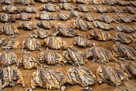 Exotic fish marketplace with bunches of fish in Asiaの写真素材