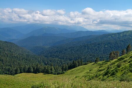 Evening landscape with mountain forest and clouds