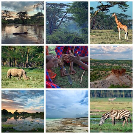 Collage consisting of several images of African landscapes, animals, wildlife and cultureの写真素材