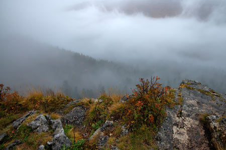 Scenic view of beautiful foggy mountain landscapeの写真素材