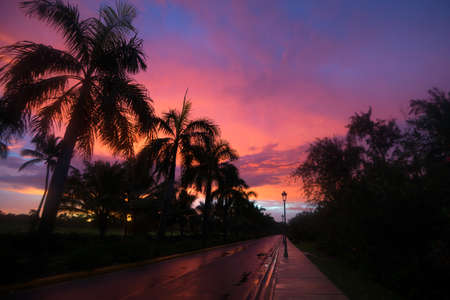 Awesome landscape with tropical sunset and silhouettes of palmsの写真素材