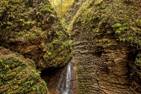 Beautiful landscape with forest waterfall and lush foliage in autumnの写真素材