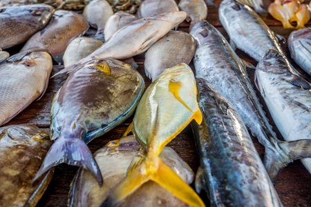 Fresh raw sea fish at market in Asia near fishermen village