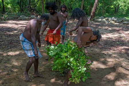 DABANA, SRI LANKA - CIRCA DECEMBER 2016: Vedda men performing tribal dance. Veddas are an indigenous people of Sri Lanka living in tribes in the jungleのeditorial素材