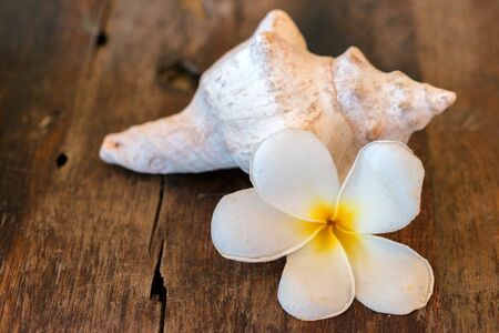 A postcard from vacations in paradise placeの写真素材