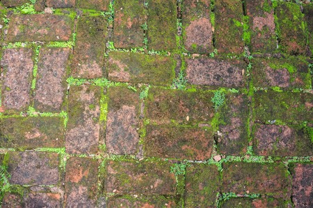 Brickwall from polonnaruwa
