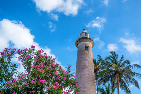 Lighthouse in Galleの写真素材