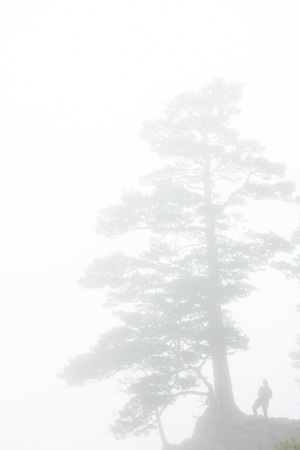 Silhoutte of hiker standing in fog