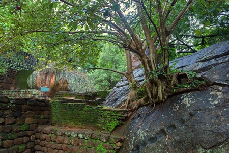 Sigiriya archeological siteの写真素材