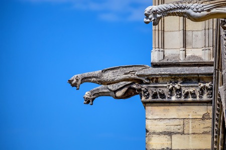 Gargoyles of Notre-Dame de Parisの写真素材