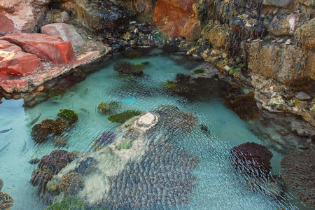 Scenic view of Red sea shore in Eilatの写真素材