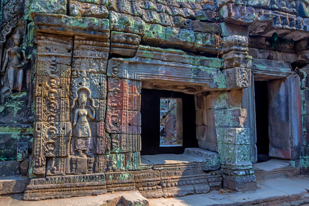 Details of stone carvings at Ta Prohm Templeの写真素材