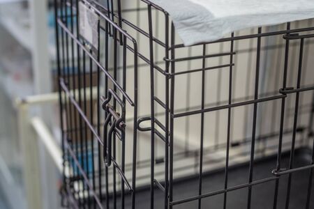 Pet wire crate or animal cageの写真素材