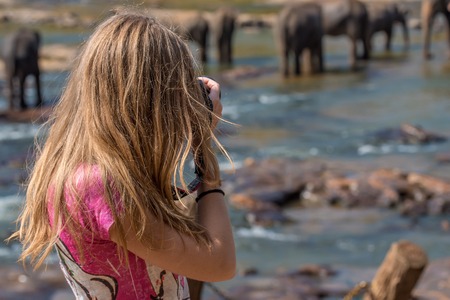 Female wildlife photographerの写真素材