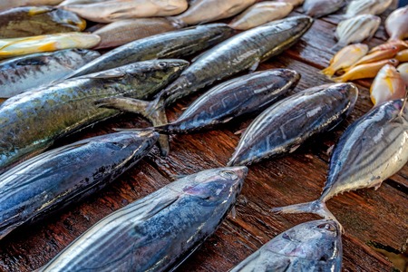 Fresh raw fish at marketの写真素材