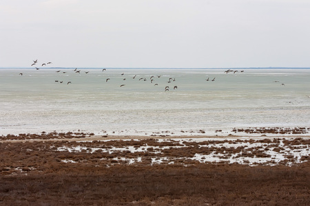 Landscape with shore of salt lakeの写真素材