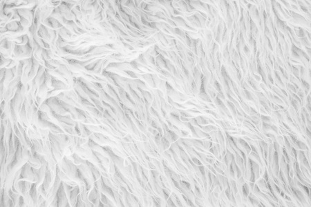 Wool close-up backgroundの写真素材