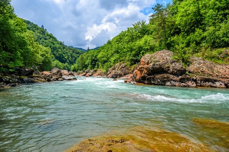 Summer landscape with mountain riverの写真素材