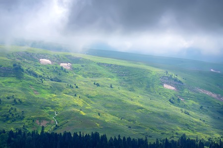 Mountain landscape with snow and forestの写真素材