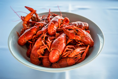 Cooked crayfishes in white plate on tableの写真素材