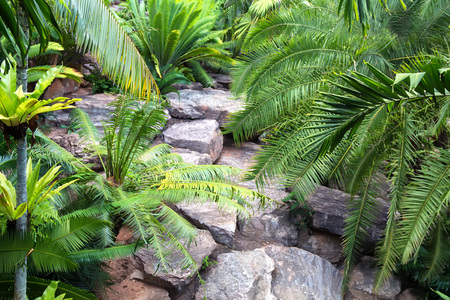 PATTAYA, THAILAND - MARCH 2013: Nong Nooch Gardenのeditorial素材