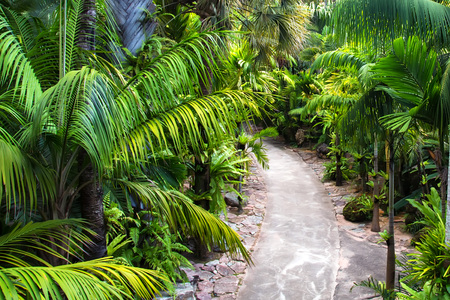 PATTAYA, THAILAND - MARCH 2013: Nong Nooch Gardenのeditorial素材