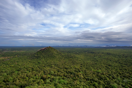 Aerial view of tropical forest of Sri Lankaの写真素材
