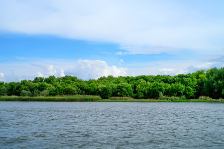 Beautiful landscape with green trees on river bank