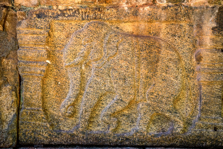 Elephant sculptures of Polonnaruwa in Sri Lankaの写真素材