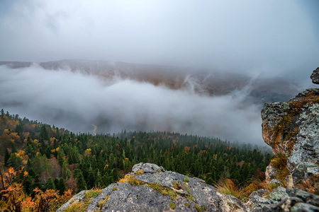 Autumn landscape with mountain forestの写真素材