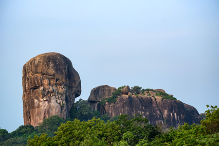 Landscape Yala National Park, Sri Lankaの写真素材