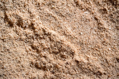 Seamless scobs backgroundの写真素材