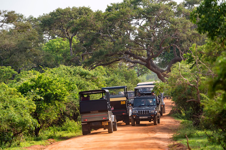 YALA, SRI LANKA - DECEMBER, 2016: Yala Nationalのeditorial素材