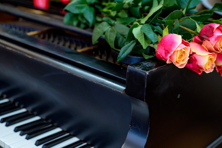 Rose flowers on piano coverの写真素材