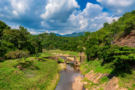 Landscape of bridge over river in jungleの写真素材