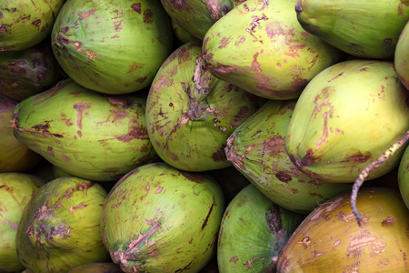 Pile of ripe coconuts on marketの写真素材