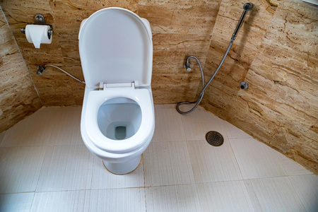 Flush toilet bowl in lavatoryの写真素材