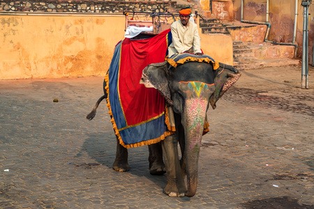 JAIPUR, INDIA - CIRCA NOVEMBER 2017: Unidentified man rides elephantのeditorial素材