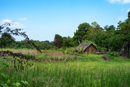 House in village in Sri Lankaの写真素材