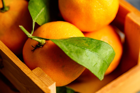 Mandarine orange or tangerine on wooden board