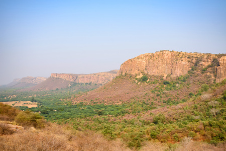 Landscape of Ranthambore, India. Lonely treeの写真素材