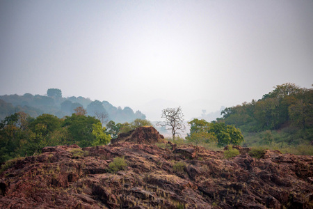 Beautiful Indian landscape in Gharial Sanctuaryの写真素材