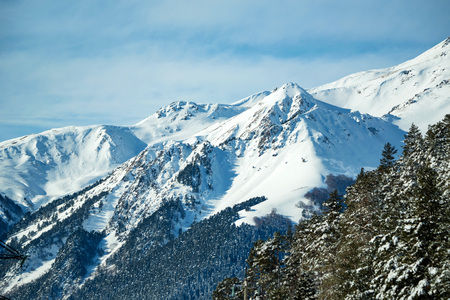 Snowy winter mountains with softwood forest